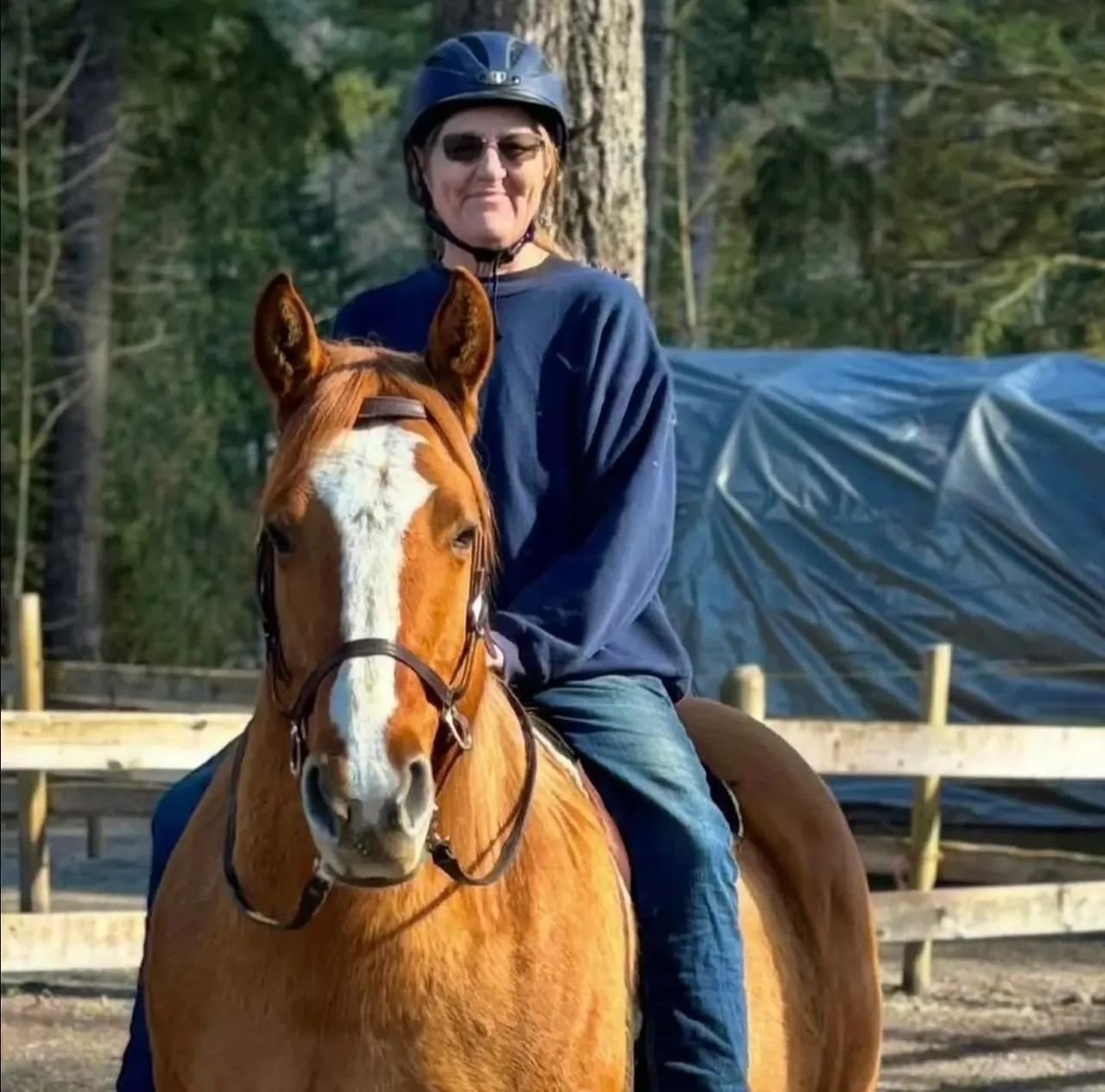 Sea to Sky Horse Ranch Visit